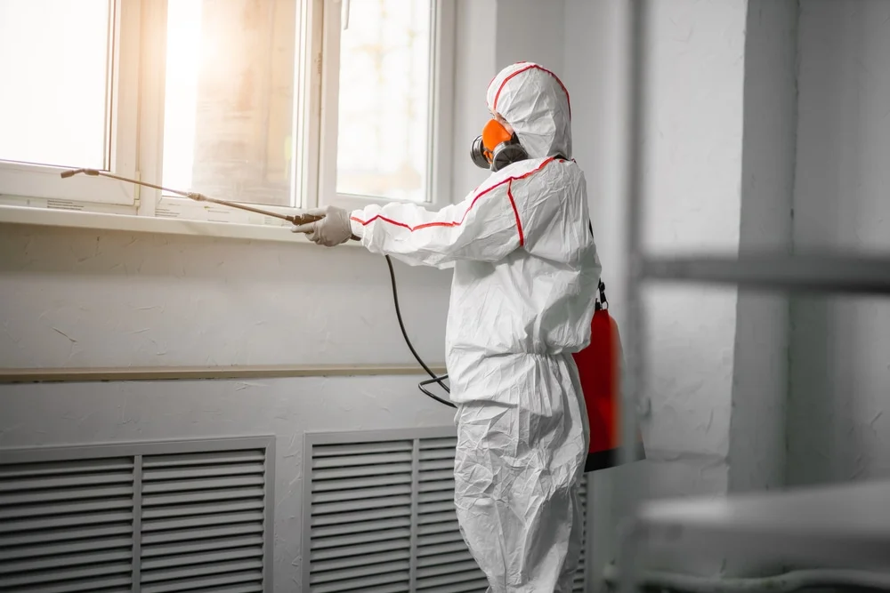 Professional mold remediation services in Emory, TX